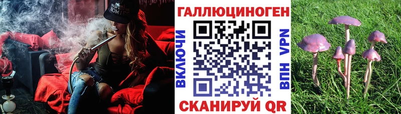 Галлюциногенные грибы Cubensis  Купить где  Елабуга 