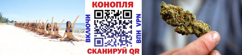 Конопля план Елабуга